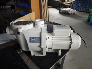 Pentair ปั๊มสระว่ายน้ำแรงดันสูง3HP 110V220V380V ปั๊มสระน้ำแห้ง - Product Image 5
