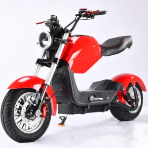 2 Zetels 60V 20ah Lithium Batterij 1500W Citycoco Chopper Elektrische Scooters Met Seat Hebben Goedkope Prijzen