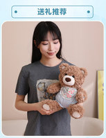Ours en peluche intelligent IA, compagnon interactif avec double regard émotionnel, en peluche, fonction WIFI, dialogue vocal interactif et fonction anti-stress