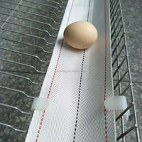 Cage de poulet Convoyeur à oeufs 100mm