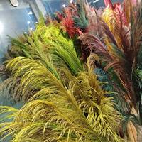 Bunga Kering Alami G196 Rumput Pampas Beige Besar untuk Dekorasi Bunga Pernikahan Rumah, Rumput Pampas Batang Besi