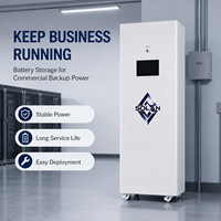 Armoire de stockage d'énergie mobile LiFePO4 51,2 V 420 Ah avec CAN RS485 pour connexion à l'onduleur