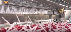 Manufacture Industrial Fully Automatic Lollipop Processing Equipment Ball Making <b>Machine</b> Lollipop <b>Candy</b> Making <b>Machine</b> - Product Image 5
