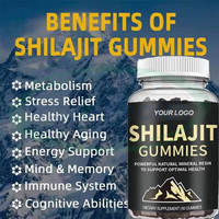 VitaSpring Shilajit Gold Gummies, complément alimentaire végétalien naturel, soutien énergétique et immunitaire, gummies au Shilajit Gold de l'Himalaya
