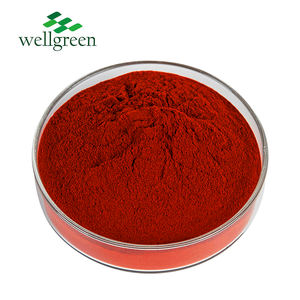 Wellgreen Beste Kwaliteit Bulk Prijs Chinese Natuurlijke Kruid <span class=keywords><strong>Salvia</strong></span> Miltiorrhizae 10:1 Red Sage Root <span class=keywords><strong>Extract</strong></span> Poeder - Product Image 1