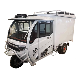 Certificat Nouveau style avec tricycle électrique entièrement fermé enregistrable CE pour une utilisation en moto - Product Image 6