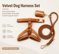 Ensemble de harnais pour chien en tissu velours de luxe avec logo personnalisé, laisse en corde et porte-sac à déjections, harnais confortable pour animaux de compagnie, directement de l'usine