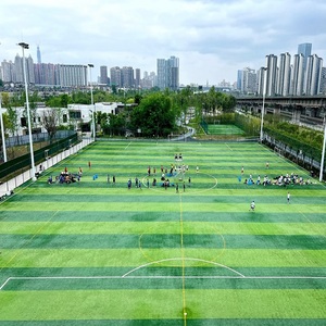 Tapis <span class=keywords><strong>de</strong></span> gazon artificiel PE pour pelouse <span class=keywords><strong>de</strong></span> gymnastique Gazon <span class=keywords><strong>de</strong></span> football en caoutchouc Gazon synthétique pour le football d'arrière-cour Gazon <span class=keywords><strong>de</strong></span> gazon synthétique pour le football - Product Image 6