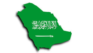 AMZ FBA Shipping Agent 1688 Taobao LCL + Service express de porte à porte DDP Fret air/mer depuis la Chine vers Houston Chicago New York - Product Image 5