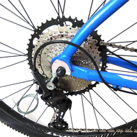 Nouveau vélo de montagne/vélo de route/cité en alliage d'aluminium de taille 29, design original multicolore, 12 vitesses, pour femmes et hommes