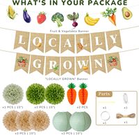 Ensemble de décoration pour baby shower, produit localement |   Marché des agriculteurs avec bannières, pompons et lanternes en papier de production locale pour la décoration de fête