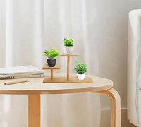 Chenzhu moderne décor à la maison vitré présentoir décoratif fleurs couronne et plantes étagère de rangement plante Pot support support de rangement