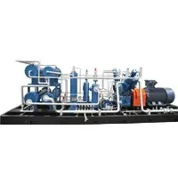 Reliable Performance 70bar Methane Carbon Dioxide Ammonia Freon Gas Booster Oil Oil-free Special Gas Compressor