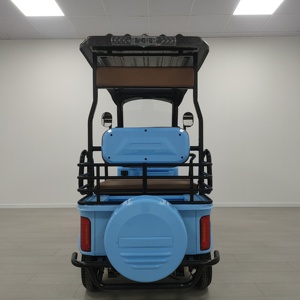 Mới Nhà Máy Cung Cấp Tùy Chỉnh Màu Sắc Công Suất Cao 1000W 48V/60V <span class=keywords><strong>4</strong></span> Bánh Xe Điện Xe Tay Ga - Product Image 4