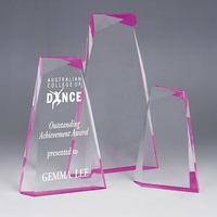 Trophée en verre de cristal de réflexion prix K9 optique personnalisé trophée sculpté avec cadeau de poignée de visage de couleur