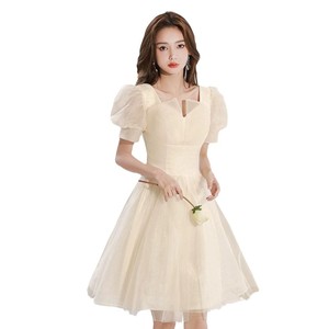 Champagne Short Evening Gown Square Neck Empire Waist Tulle Dress For Banquet Party - Product Image 5