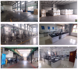 High Quality Scientific Research <strong>AGAROSE</strong> <strong>Powder</strong> CAS 9012-36-6 <strong>AGAROSE</strong> - Product Image 4