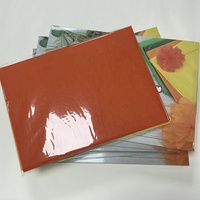 Fournisseurs de cadeaux d'emballage personnalisés de couleur parfaite en gros d'usine Papier de soie coloré pour le bricolage