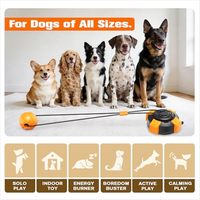 Jouet de luxe écologique pour chien avec ventouse et corde de traction en TPR, durable pour la mastication et le jeu de la corde, idéal pour les animaux en pleine dentition