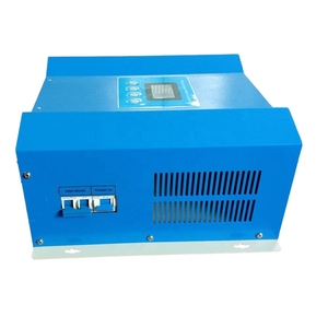 โรงงานจีน คุณภาพสูง 1000w 48v หน้าจอ LCD MPPT 20A ตัวควบคุมการชาร์จแบตเตอรี่แบบไฮบริดพลังงานลมและพลังงานแสงอาทิตย์ อื่นๆ ตัวควบคุมพลังงานลมและพลังงานแสงอาทิตย์ - Product Image 4