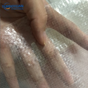 Lona Agrícola Transparente para Aves, Plástico para Cultivo de Frutas con Estabilizador UV y Bordes Reforzados para Uvas y Cerezas - Product Image 3