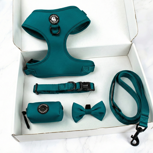 デザイナーによるパーソナライズされたノープル犬用ハーネス、うんち袋ディスペンサー、カスタムロゴ入り調整可能なペット用首輪とリード、ペット用品 - Product Image 1