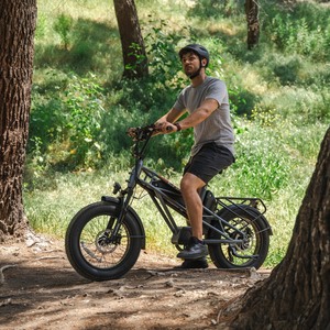 <span class=keywords><strong>2023</strong></span> Offre Spéciale 48v 750w double batterie Ebike en alliage d'aluminium électrique gros pneu Cargo vélo - Product Image 2