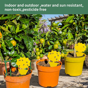 Trampa Adhesiva Resistente al Agua con Forma de Sol y Logotipo Personalizado para Plantas de Cítricos en Maceta - Product Image 3
