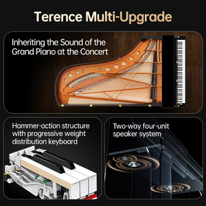 <span class=keywords><strong>Piano</strong></span> numérique droit Terence S75, <span class=keywords><strong>clavier</strong></span> 88 touches, composite bois-plastique, marteau <span class=keywords><strong>lourd</strong></span> - Product Image 3