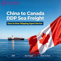 Services logistiques Chine-Canada, agent transitaire maritime, agent d'expédition DDP, expédition porte-à-porte pour le fret