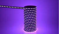 Bande lumineuse LED SMD RGB adressable Real16bit à échelle de grises réduite, 12V/24V, IP68, UCS8904, pour décorations de jardins, bâtiments et fêtes