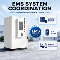 Gabinete Modular de Almacenamiento de Energía BESS LiFePO4 de 125kW 241kWh para Uso Comercial e Industrial, Integración con Proyectos EPC y PCS Externos