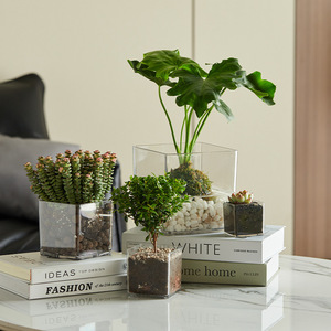 Vaso quadrato a cilindro quadrato in acrilico trasparente ispessito pianta verde idroponica succulenta vaso quadrato - Product Image 3