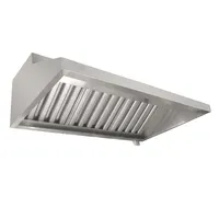 Chinese Style Stainless Steel Commercial Kitchen Exhaust Range Hood