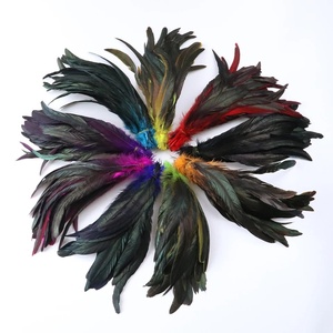 Plumas Naturales <span class=keywords><strong>de</strong></span> <span class=keywords><strong>Gallo</strong></span> a Granel, 10-16 pulgadas/25-40 cm, Plumas <span class=keywords><strong>de</strong></span> <span class=keywords><strong>Gallo</strong></span> Teñidas para Espectáculos <span class=keywords><strong>de</strong></span> Carnaval - Product Image 4