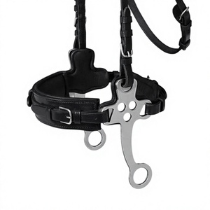 Brida de Cuero de Lujo Estilo Inglés Hecha a Mano para Caballo, Color y Tamaño Personalizables 2x3x2m - Product Image 4
