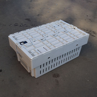 Caisse en plastique personnalisable en gros, boîte de déménagement, stockage, expédition de pain, viande, œufs, tomates, fruits, légumes, poulet, fabriquée en PP