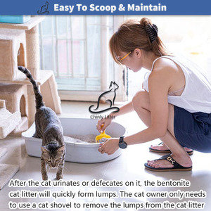 <span class=keywords><strong>Arena</strong></span> para gatos de bentonita natural de 5kg, 10kg, 20kg, desodorizante, Control de olores, <span class=keywords><strong>arena</strong></span> para gatos de Bajo polvo - Product Image 5