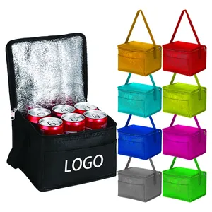 Non Woven Promotional Insulated Lunch Bag Foldable Personalized Mini Premium Cooler Bag