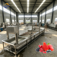 Continue transportband fruitbellenwasmachine, eenvoudige bediening, sinaasappelreinigingsapparatuur voor middelgrote fruitverwerkingsbedrijven