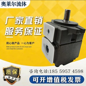ปั๊มไฮดรอลิกแบบใบพัด HONGYI รุ่น PV2R1-19-FR 250 บาร์ ทำจากเหล็กหล่อ 1 สเตจ - Product Image 3