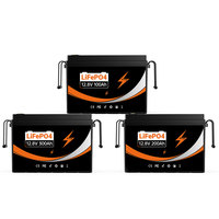 Batterie au lithium LiFePO4 12V 24V 100Ah 200Ah 300Ah avec protection basse température pour camping-car, moteur de pêche à la traîne, solaire, maison, hors réseau