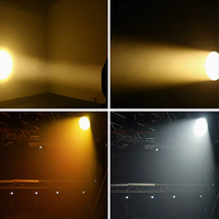 Éclairage de scène professionnel, blanc froid/blanc chaud, contrôle DMX, 100 W, lumière d'ambiance pour les églises, les théâtres, lumière de scène LED COB