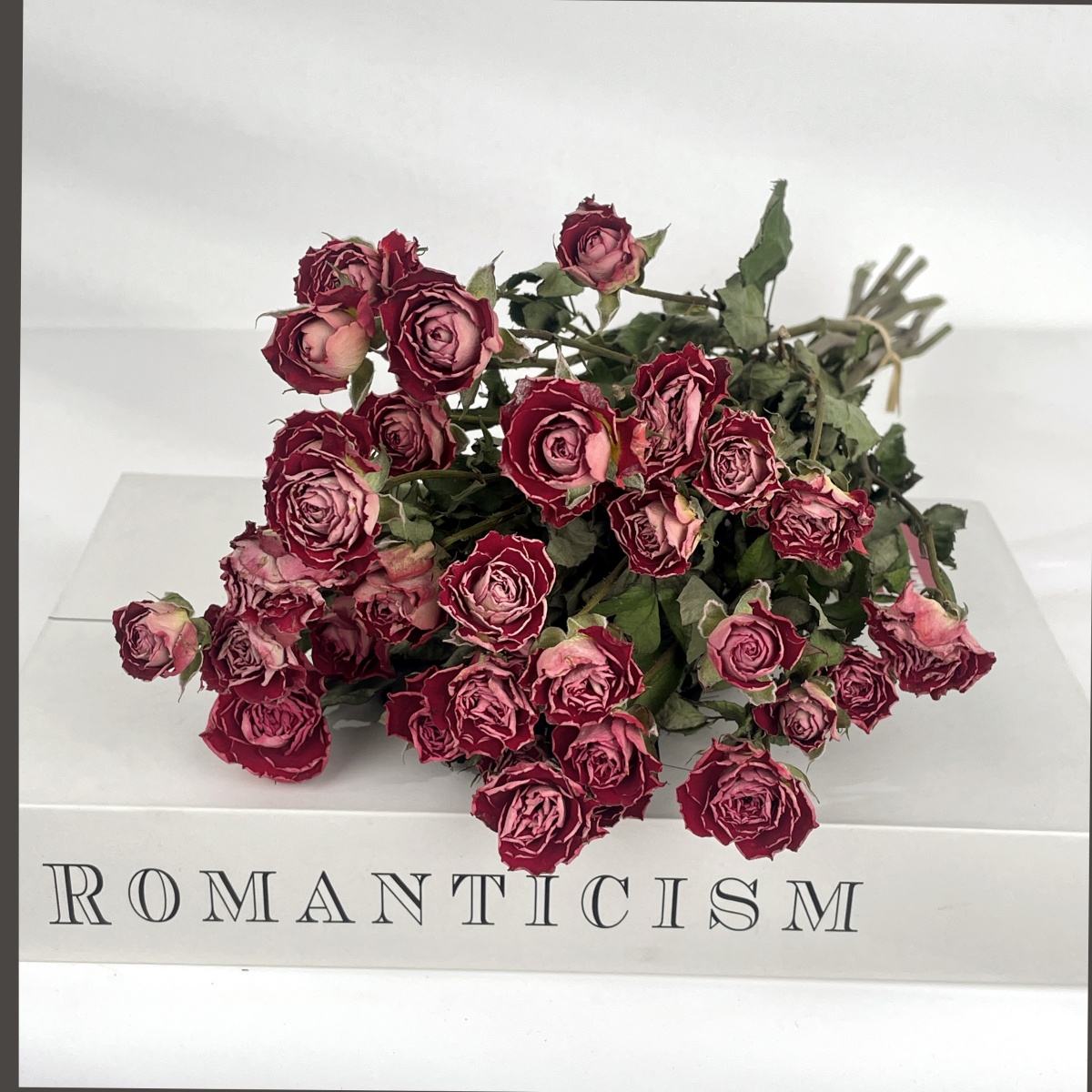 ฟองอากาศมหัศจรรย์