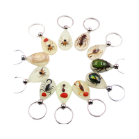 Pendentif Scorpion en Résine Véritable, Breloque Insecte, Spécimen d'Ambre, Porte-clés Souvenir pour Hommes avec Motif Animal