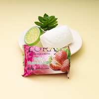 Savon de Bain Nettoyant Naturel de Haute Qualité 90g Série Fruits Savon Solide Antibactérien pour le Corps et les Mains pour Soins de la Peau