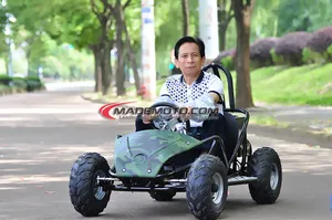 China cheap 4000W length adjustable 3-mode adult electric mini go kart children's go kart