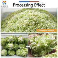 Machine semi-automatique en acier inoxydable pour couper, laver et sécher les céréales et légumes, capacité 1-3t/h, pour cuisine centralisée