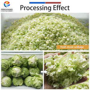 Máquina de corte, lavado y secado de verduras de 1-3 t/h para hojas verdes, repollo y ensalada, para cocina centralizada - Product Image 5