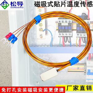 หัววัดอุณหภูมิแม่เหล็ก Pt100: หัววัดอุณหภูมิแบบแม่เหล็กดูดซับบนพื้นผิว, เซ็นเซอร์วัดอุณหภูมิแบบแม่เหล็ก - Product Image 3